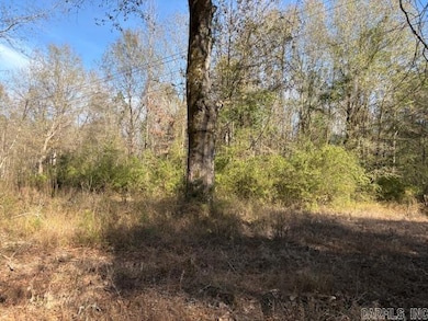 0 Hempstead 148 Rd, Hope, AR 71801 - photo 3