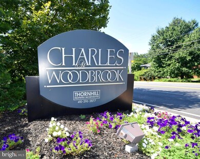 6301 N Charles St unit 203, Baltimore, MD 21212 - photo 2