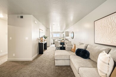 18-web-or-mls-_M3A8163