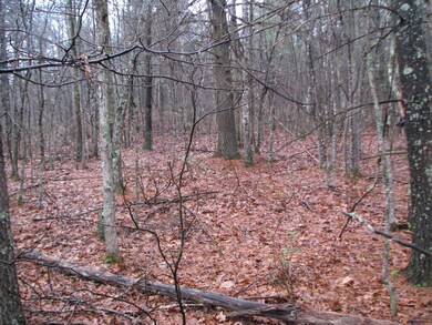 land pic 001