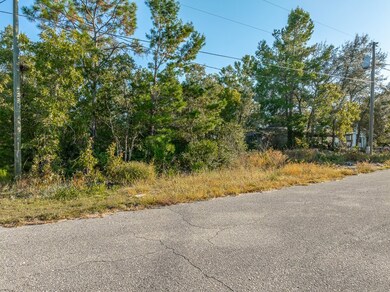 2202 Kentucky Ave, Lanark Village, FL 32323 - photo 2