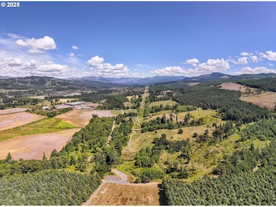 0 S Cedar Mill Rd, Lyons, OR 97358 - photo 3