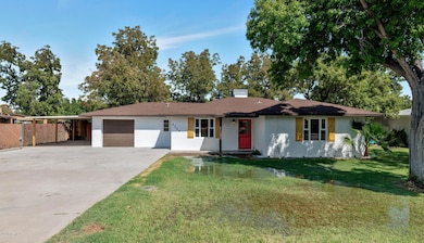 4208 E Oak St-large-002-020-4208 E Oak S