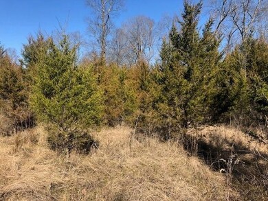 0 Highway 64 E unit RTC2352975, Shelbyville, TN 37160 - photo 6