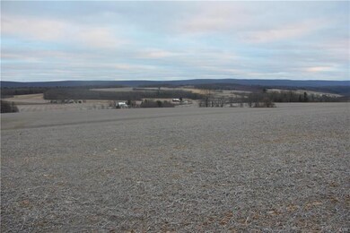 435 Pine Hill Rd, Andreas, PA 18211 - photo 5