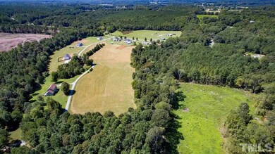 275 Spring View Ln, Pittsboro, NC 27312 - photo 5