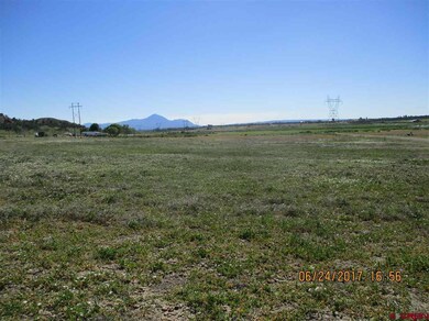 0 Rd L 4 Loop unit 9 734549, Mancos, CO 81328 - photo 5