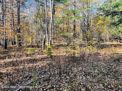 0 Route 23a unit 20254113, Hunter, NY 12442 - photo 6