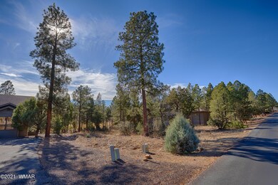 Paved Street In Gated Community