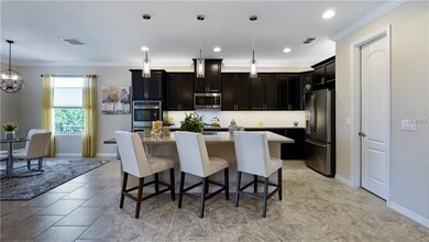 972 Sadie Ridge Rd, Clermont, FL 34715 - photo 4