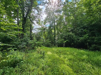 0 Hutcheson Road Off, Temple, GA 30179 - photo 6