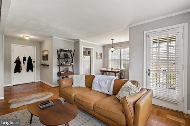 6618 E Wakefield Dr unit B1, Alexandria, VA 22307 - photo 7