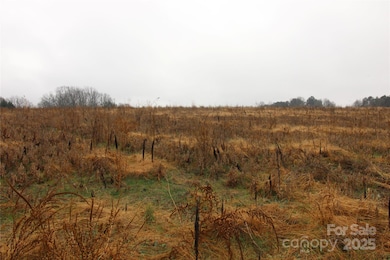 1.5+/-AC LOT 9 Eaker Rd, Kings Mountain, NC 28086 - photo 4