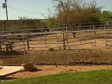 Horses will love to roam