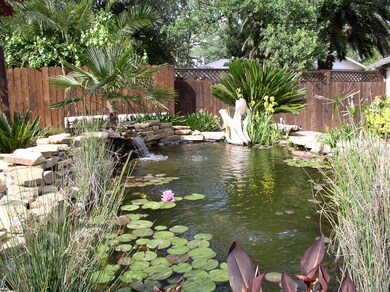 Koi pond 2nd view