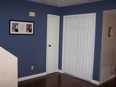 Understairs and Utility closets
