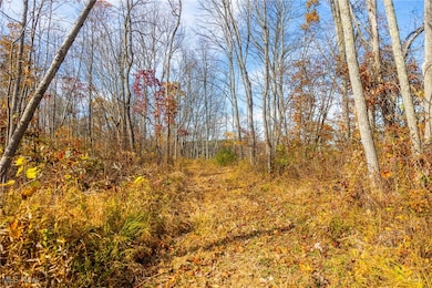 0 Hambel Rd, Union Township, OH 43758 - photo 5