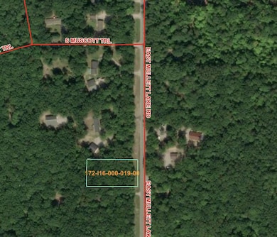 2534 E Mullett Lake Rd, Indian River, MI 49749 - photo 2