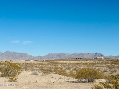 4374 Rc Gorman Loop, Las Cruces, NM 88011 - photo 2