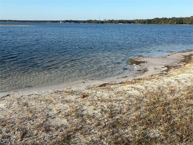 24970 NE 132nd St, Fort McCoy, FL 32134 - photo 5