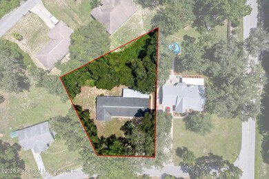 9-web-or-mls-DJI_0708_outlines