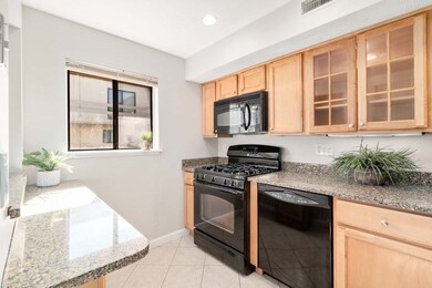 120 Beaconsfield Rd unit 9, Brookline, MA 02445 - photo 7