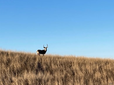 TBD Pioneer Rd unit +/- 2,000 acres land, Belle Fourche-Cheyenne Valleys, SD 57761 - photo 4