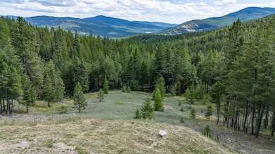 Nhn Jackson Meadows Rd, Kila, MT 59920 - photo 6