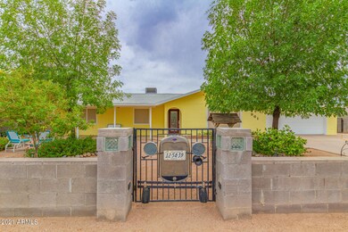 5 - Mesquite