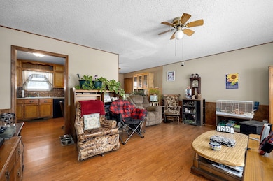 667 W Elm St, Aurora, MO 65605 - photo 4