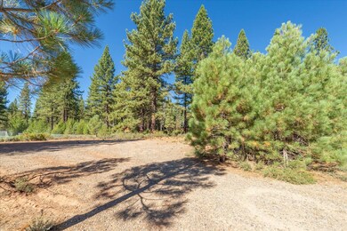 11308 Wolverine Cir, Truckee, CA 96161 - photo 3
