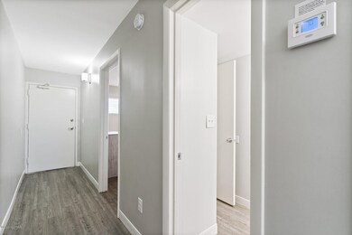 04_DSC01388_mls