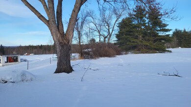 Backyard #2