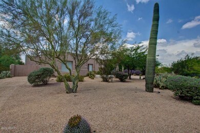 Beautiful Desert Landscaping