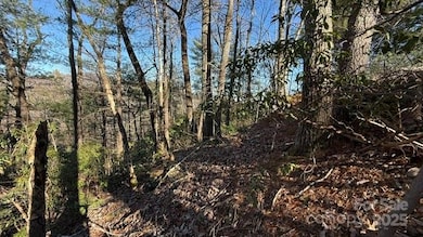 0 Bird Dog Blvd unit CAR4211590, Lake Lure, NC 28746 - photo 5