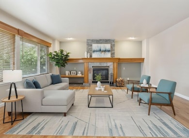 7316 Meadow View, Parker, CO 80134 - photo 7