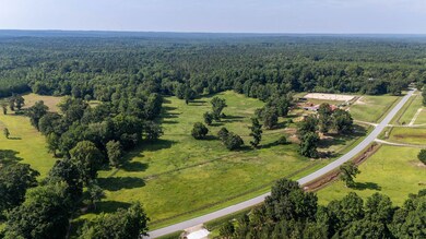 County Rd 53, Auburn, AL 36832 - photo 7