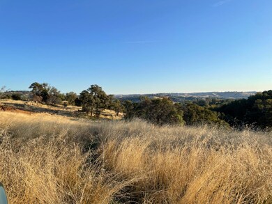 0 White Oak Rd, Plymouth, CA 95669 - photo 3