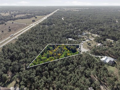 1811 County Road 243d, Wildwood, FL 34785 - photo 7