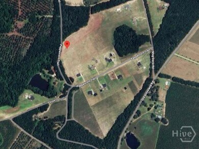 0 Peppercorn Trail unit SA335417, Pembroke, GA 31321 - photo 4