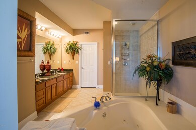 Huge Master Bathroom
