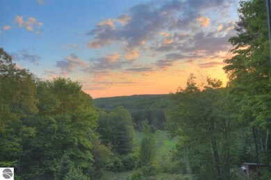 9770 Springvale Rd, Boyne Falls, MI 49713 - photo 2