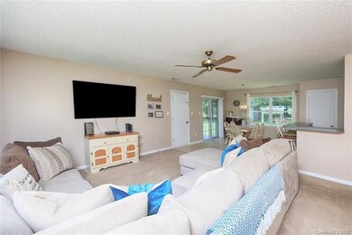 133 Potts Grant Ln, Statesville, NC 28625 - photo 5