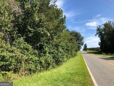 0 Old MacOn Rd unit 20156110, Dublin, GA 31021 - photo 7