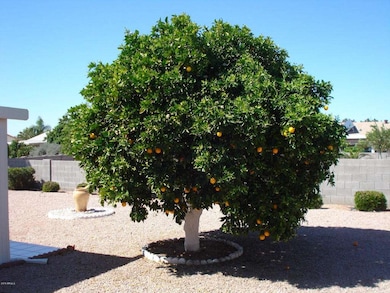 934 S Eagle Cir, Mesa, AZ 85208 - photo 6