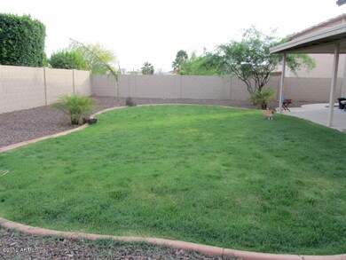 large grass back yard
