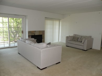 14130 Sheffield Dr unit 101, Homer Glen, IL 60491 - photo 2