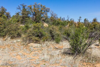 1382 Dalke Point, Lot 55, Photo 4