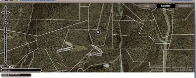 Aerial Satellite photo
