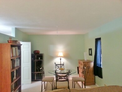 197 W Armitage Ave unit 101, Elmhurst, IL 60126 - photo 7
